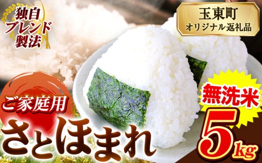 熊本県産 さとほまれ 無洗米 ご家庭用 5kg 《7-14日以内に出荷予定(土日祝除く)》熊本県 玉名郡 玉東町 米 こめ コメ ブレンド米 送料無料