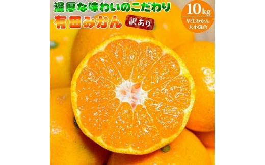 
                  【2026年先行予約】濃厚な味わいのこだわり 有田みかん 10kg (早生みかん・大小混合)_EA6036n
                