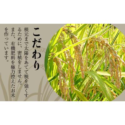 ふるさと納税 玉東町 【令和8年産】先行予約 『児玉農園』くまさんの輝き 10kg 《10月下旬-11月中旬頃出荷》 お米 |  | 01