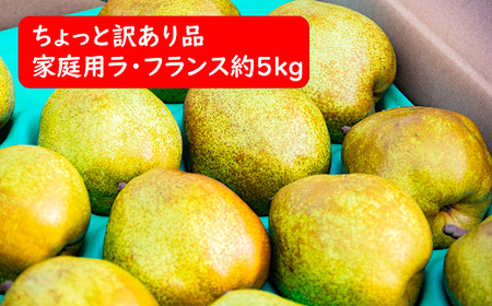 【令和7年産先行予約】 〈訳あり品 家庭用〉 ちょっと訳あり ラ・フランス 約5kg (14～18玉 2～4L) 《令和7年11月～発送》 『たけひさ農園』 ラフランス 山形県 南陽市 [1089]