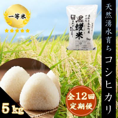 ふるさと納税 長和町 【毎月定期便】コシヒカリ5キロ(kg)　長野県長和町産 農家直送 一等米精白米全12回