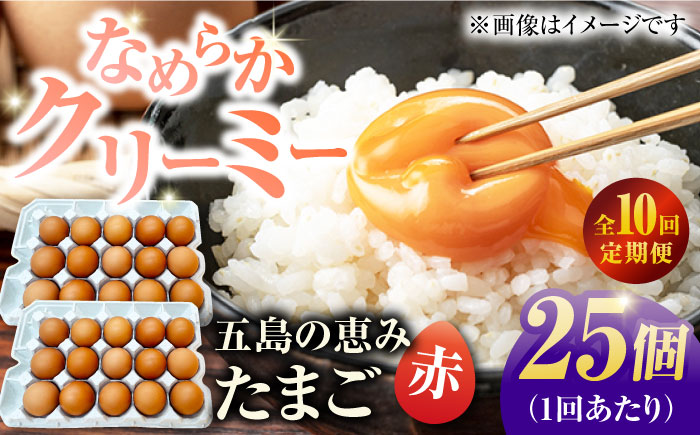 【10回定期便】【箱入り】五島の恵みたまご M〜Lサイズ 25個入 / 卵 赤玉子 五島市 / 五島列島大石養鶏場 [PFQ047]