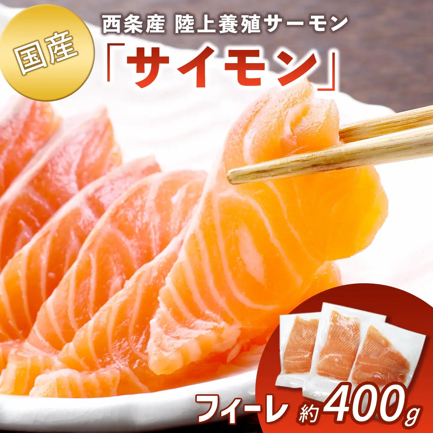 【国産サーモン】西条産陸上養殖サーモン「サイモン」冷凍フィーレ 約400g