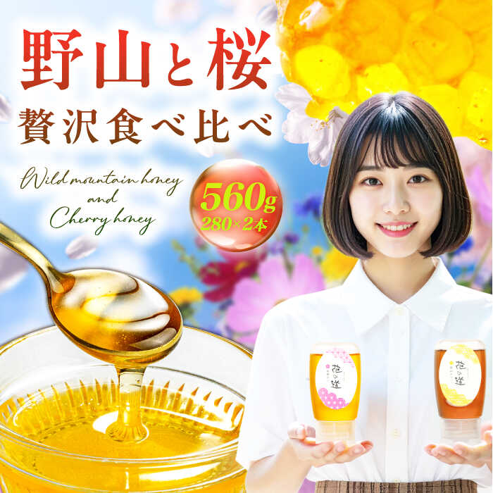 【ふるさと納税】【はちみつお試しセット】 早春みつ・野山みつ 各1本（280g×2）　広川町 / 株式会社九州蜂の子本舗[AFAI043]