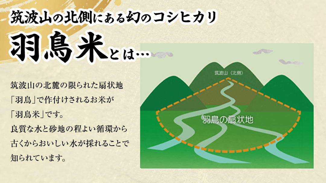 《 令和7年産 先行予約 》 コシヒカリ 「幻の米 羽鳥米」 12kg (3kg × 4袋) 筑波北麓秘蔵米 お米 ごはん 精米 コメ 白米 国産 茨城県 桜川市 限定 期間限定 数量限定 銘柄米 [