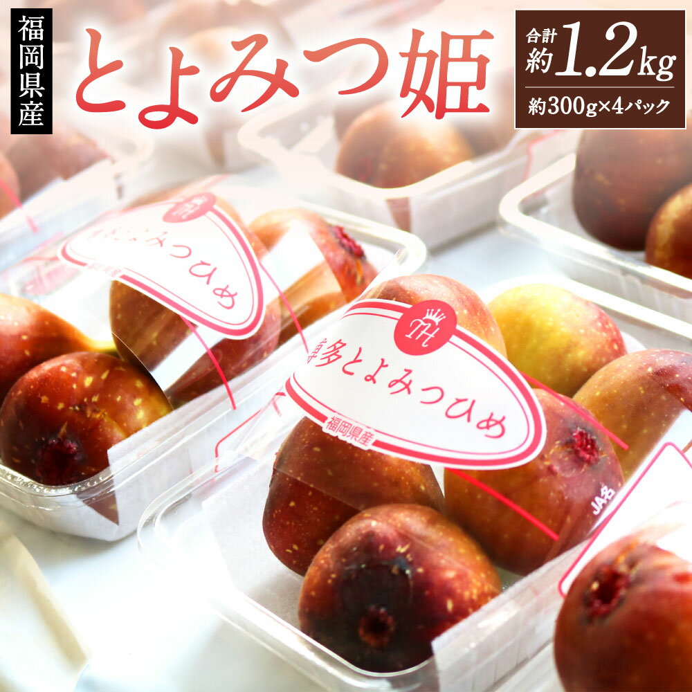 【ふるさと納税】福岡県産 とよみつ姫 約1.2kg(約300g×4パック入り) いちじく 無花果 イチジク フルーツ 果物 青果物 旬 予約 ブランド 冷蔵 国産 福岡県 九州 【2025年9月下旬～10月下旬発送予定】