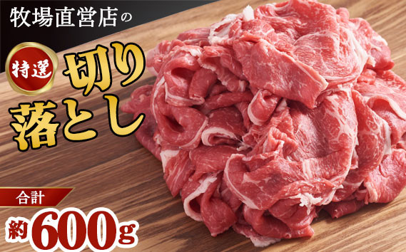 
牧場直営店の特選切り落とし 約300g×2 | 牛肉 大容量 栃木県 下野市 送料無料
