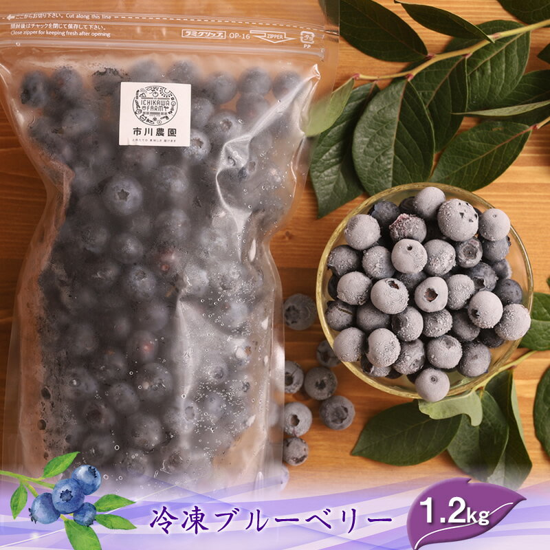 【ふるさと納税】【先行予約】冷凍ブルーベリー1.2kg（600g×2パック）＜出荷開始：2026年8月10日～2026年9月10日＞【 ブルーベリー フルーツ 神奈川県 海老名市 】