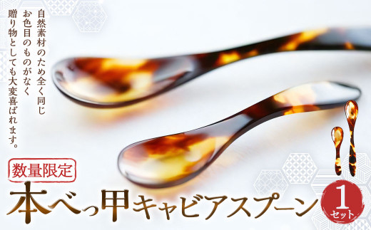 【7営業日以内発送】【限定2】本べっ甲キャビアスプーンセット スプーン プレゼント ギフト 贈り物