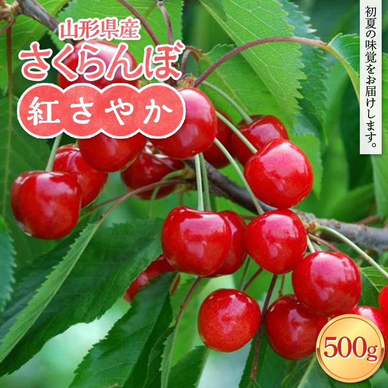 【ふるさと納税】≪2026年先行予約≫山形県産 さくらんぼ 紅さやか 500g M～L バラパック詰め 2026年6月上旬から順次発送 果実 果物 くだもの フルーツ 早生 桜桃 サクランボ 自宅用 家庭用 山形県 西川町 月山 FYN6-051