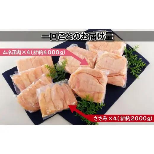【全3回定期便】ながさき福とり 鶏肉むね・ささみセット 各回 計6,000g 総計約18kg 臭みなしブランド鶏【長崎福鳥】鶏肉