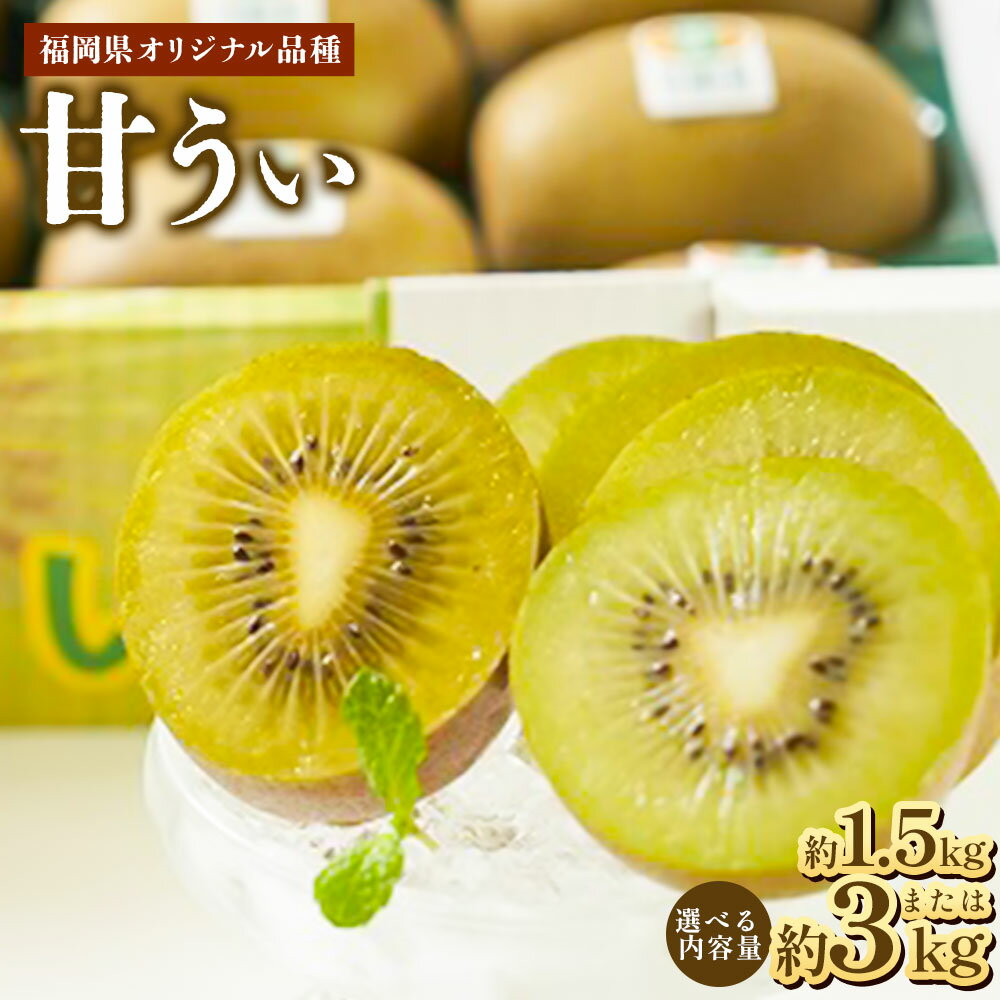 【ふるさと納税】＜選べる内容量＞ 福岡県産ブランドキウイ 甘うぃ 約1.5kg または 約3kg 福岡県 九州産 国産 1500g 先行予約 果物 フルーツ デザート おやつ オリジナルブランド キウイ キウィ 高糖度 甘い 送料無料 【2025年10月下旬～12月上旬発送予定】