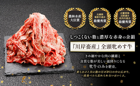 神戸ビーフ 神戸牛 切り落とし 白小間 神戸ビーフ【1kg】【冷凍】