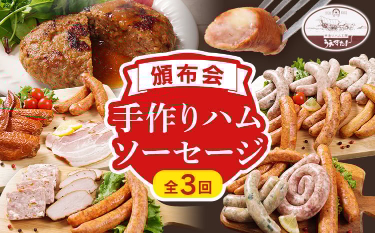 
            【頒布会】手造り ハムソーセージ C1・E1・O 3回お届け ウィンナー ソーセージ ハム 手羽先 燻製 チーズ あらびき ハンバーグ ソース ペッパー 餃子 生ウィンナー うえすたん セット 食べ比べ 詰め合わせ バラエティ
          