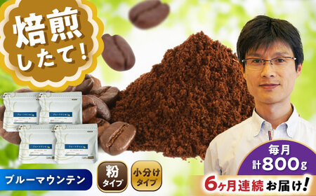 【全6回定期便】ブルーマウンテンNo.1　コーヒー粉　200g×4個(粉/中挽き)  / コーヒー  ドリップ  粉 / Coffee SAKURA[BBAB096]