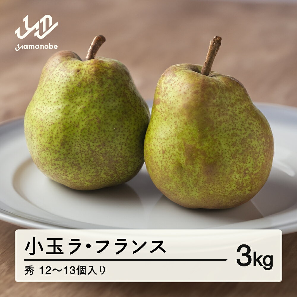 【ふるさと納税】《先行予約》山形県産 小玉ラ・フランス 秀 3kg (12~13個入り) 2026年産 ※沖縄・離島への配送不可 送料無料 nf-lasyk3
