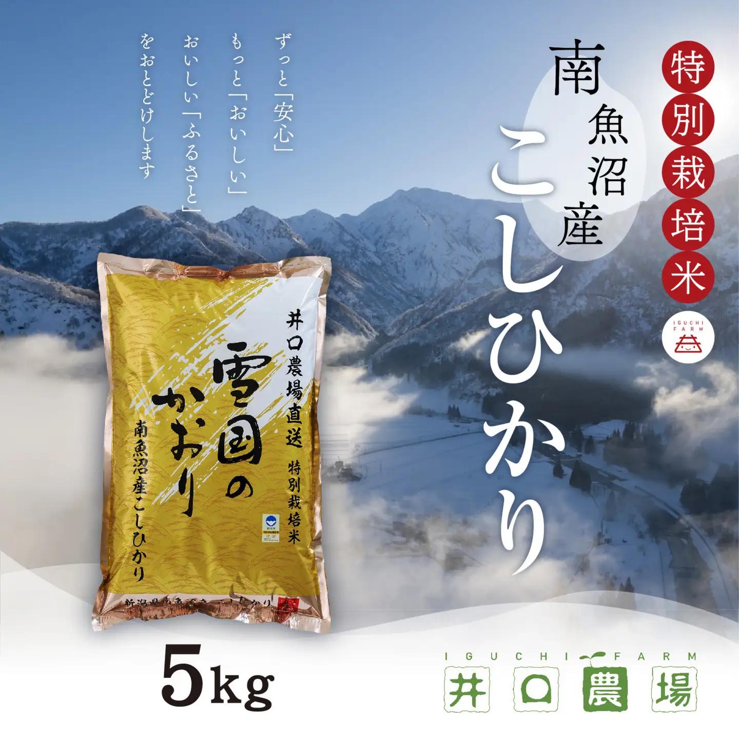 新米【令和8年】南魚沼産コシヒカリ 5kg  井口農場こだわりの 特別栽培米｜コシヒカリ【2026年10月上旬より順次発送予定】