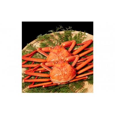 ふるさと納税 境港市 <10月上旬〜配送予定><訳あり>紅ずわい蟹 1kg(500g前後×2枚)