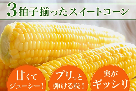 【ふるなびWEEK対象】とうもろこし 10本 スイートコーン トウモロコシ コーン 甘い 採れたて 朝採り 野菜 旬の野菜 農作物 お取り寄せ 北海道産 産地直送 北海道 美深町 FN-Limited