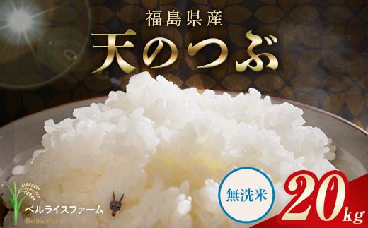 〈先行予約〉令和8年産 農家直送 ベルライスファーム 天のつぶ 無洗米 20kg F6U-485
