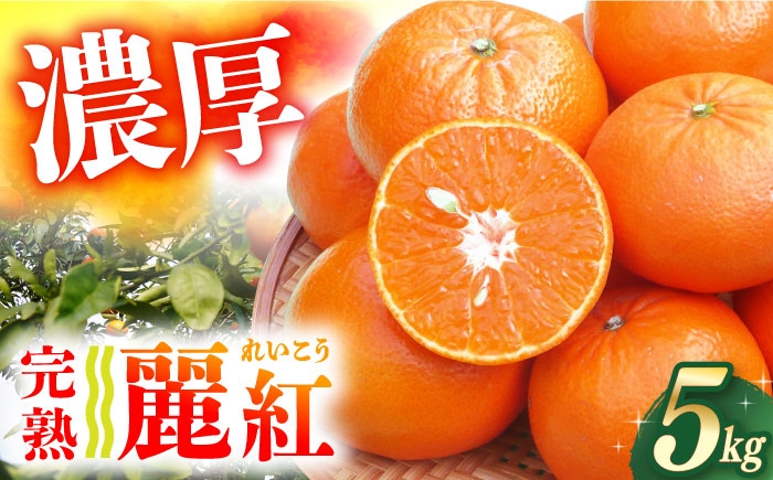 
                  【ご家庭用】麗紅（れいこう）約5kg 長与町/果豊園 [ECL014]
                
