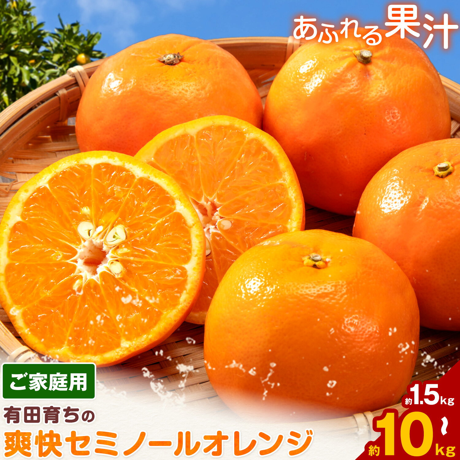 【ふるさと納税】有田育ちの 爽快 セミノールオレンジ (ご家庭用) 選べる 約1.5kg 3kg 5kg 7.5kg 10kg 有田マルシェ《4月上旬-5月下旬頃出荷》和歌山県 日高町 国産 みかん オレンジ 柑橘 果物 送料無料
