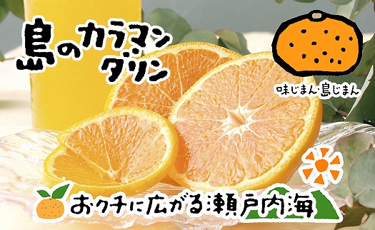カラマンダリン 3kg M~2Lサイズ 約18~28玉 【2025年5月上旬から発送予定】 完熟 みかん 愛媛 中島産 希望の島