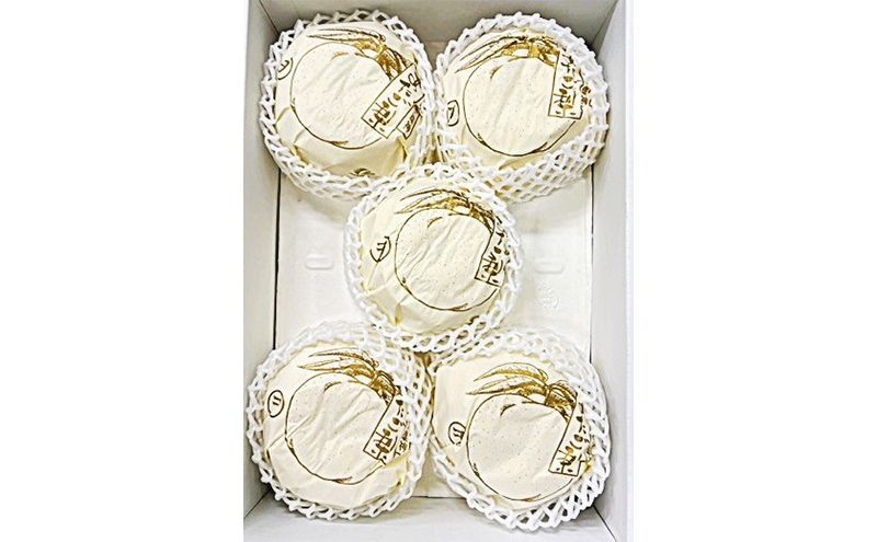 【ふるプレ限定品】梨 2026年 先行予約 あたご梨 3-6玉（約4kg） 化粧箱入り なし ナシ 岡山県産 国産 フルーツ 果物 ギフト