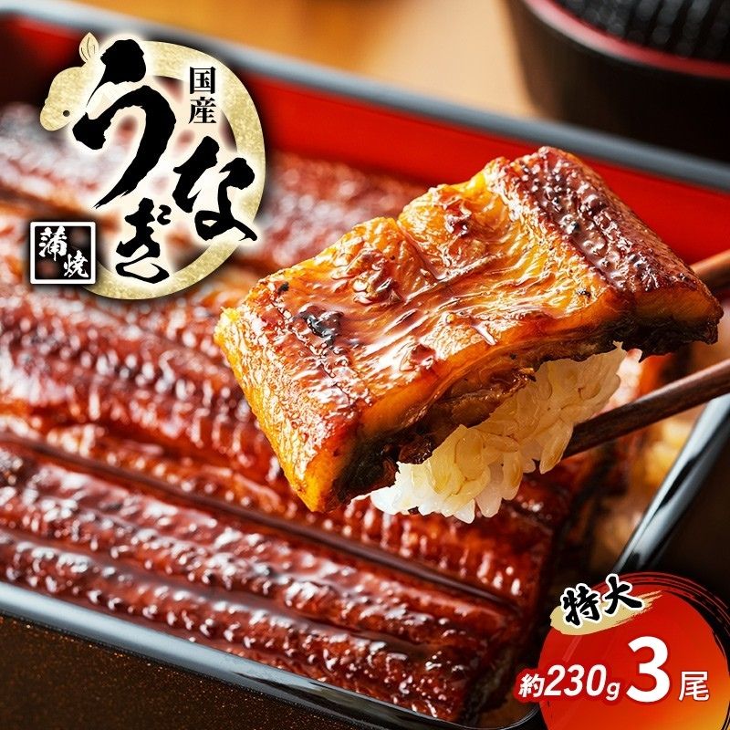 特大うなぎの蒲焼き 国産(愛知県産) 約230g前後 3尾