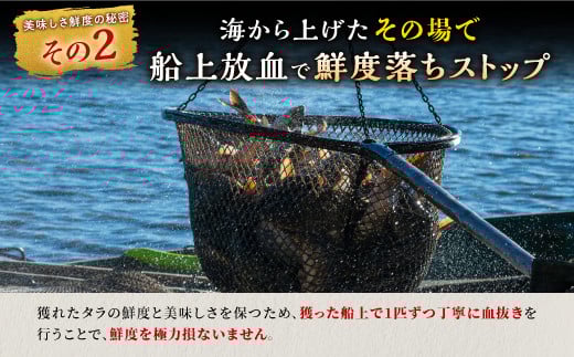 北海道 タラの昆布締め【540g(180g×3)】