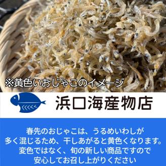 浜口海産物店のじゃこ３種（ちりめん・かちり・かえり）食べ比べセット（計3袋小分け）シラス 無添加 釜揚げ しらす丼 ちりめん丼 【R00014】