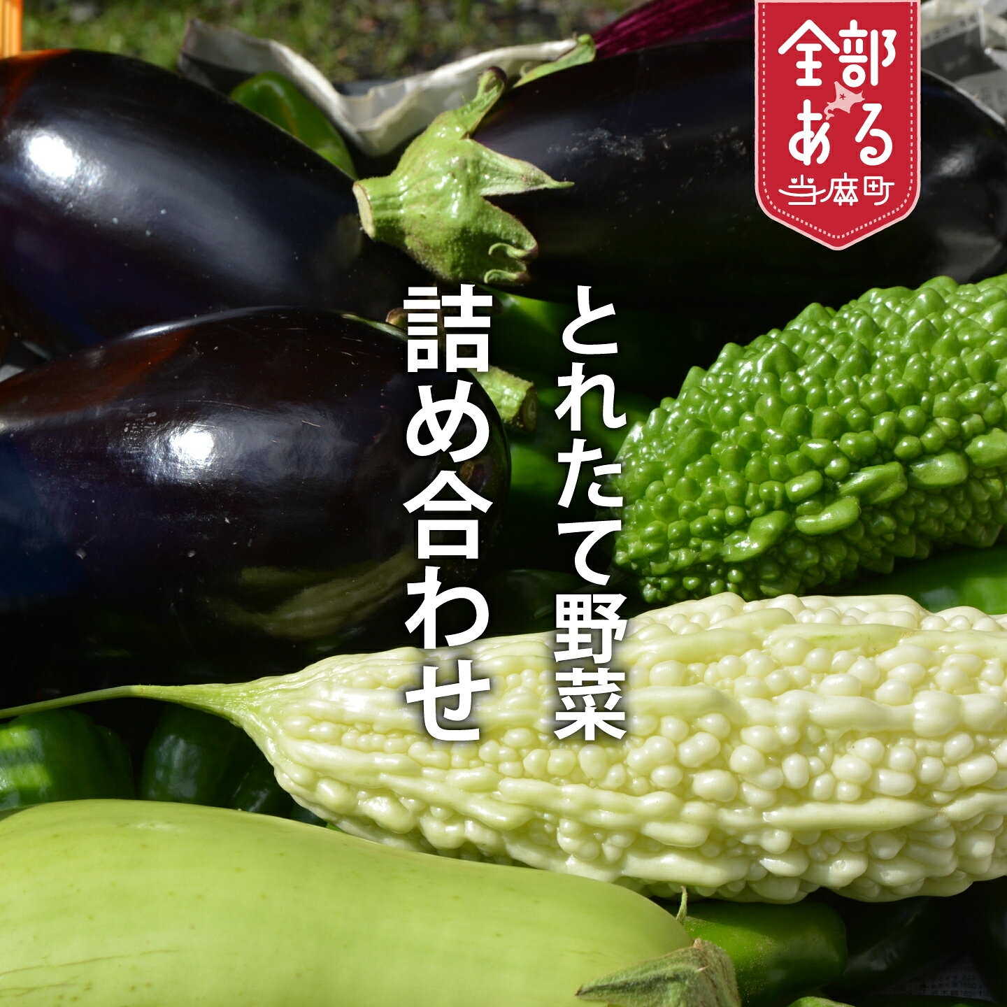 【ふるさと納税】 2026年産 相馬ファームの野菜セット 無農薬 無化学肥料 野菜詰め合わせ 採れたて 新鮮 旬 相馬ファーム 数量限定 送料無料 北海道 当麻町 お取り寄せ 野菜博士