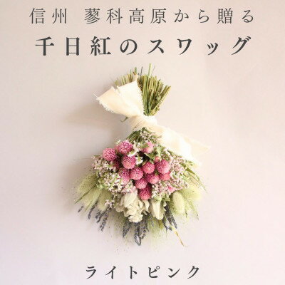 【ふるさと納税】信州八ヶ岳の麓から贈る 千日紅のドライフラワースワッグM(ライトピンク)【1659599】