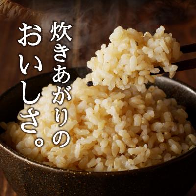 ふるさと納税 焼津市 令和7年産 農薬7割減 特別栽培 にじのきらめき 玄米 10kg(5kg×2袋)(a25-080) |  | 01