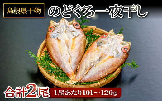 
旨みを引き出した のどぐろ一夜干し 2尾【1尾あたり101～120g のどぐろ干物 ノドグロ のど黒 あかむつ アカムツ 干物 個包装 小分け 真空パック 冷凍 父の日 母の日】
