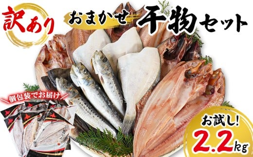 【2026年3月下旬発送】 訳あり 干物 詰め合わせセット 2.2kg 真ホッケ 縞ホッケ サバ イワシ 北海道