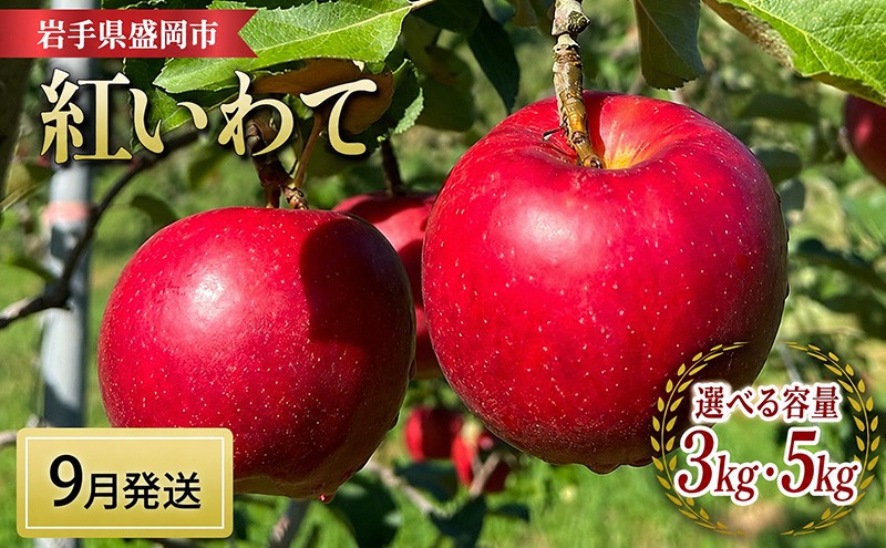 
                  【先行予約】 紅いわて 選べる容量 3kg・5kg 9月下旬～発送 完熟 フルーツ 果物 夏 秋 旬 旬のフルーツ 季節のフルーツ 林檎 リンゴ 国産 産地直送 くだもの お取り寄せ 贈り物 ギフト 贈答用 贈答 プレゼント 贈り物 おすすめ 美味しい デザート 特産品 名産品 岩手県 盛岡市 東北 岩手 盛岡 北田りんご園 kitada010P
                