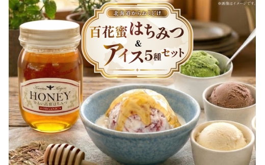 はちみつ & アイス 百花蜜 450g × 1本 牧場直送アイス 120ml×5種 計5個  [吉田養蜂園 岩瀬牧場 北海道 歌志内市 01227an026] セット スイーツ はちみつ 百花蜜 アイス チョコレート ストロベリー 抹茶 チーズ