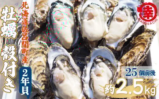 【先行予約】【10月中旬から順次発送】カキ 殻付き 2年貝 約2.5kg（25個前後） 佐呂間産 【 ふるさと納税 人気 おすすめ ランキング 牡蠣 カキ かき 貝 牡蠣貝 かき貝 カキ貝 殻付き 殻付 殻付き牡蠣 殻付きカキ 殻 グルメ ギフト 贈答 贈り物 BBQ バーベキュー 貝類 冷蔵 海鮮 オホーツク 北海道 佐呂間町 送料無料 】 SRMA002