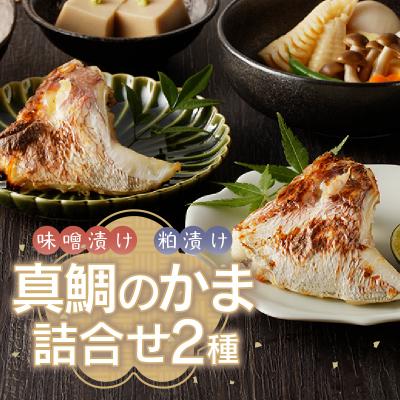 ふるさと納税 焼津市 焼津ぬかや真鯛のかま味噌漬け&粕漬け(a10-610) |  | 01