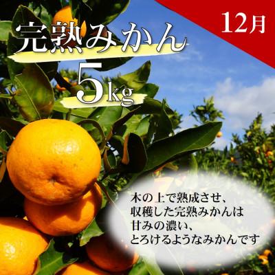 ふるさと納税 日高町 【発送月固定定期便】季節の柑橘定期便(ゆら早生みかん・完熟みかん・不知火・はるかみかん)全4回 |  | 02
