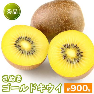 ふるさと納税 丸亀市 キウイフルーツ さぬきゴールド 約900g 常温 香川県 丸亀市 発送:10月中旬〜