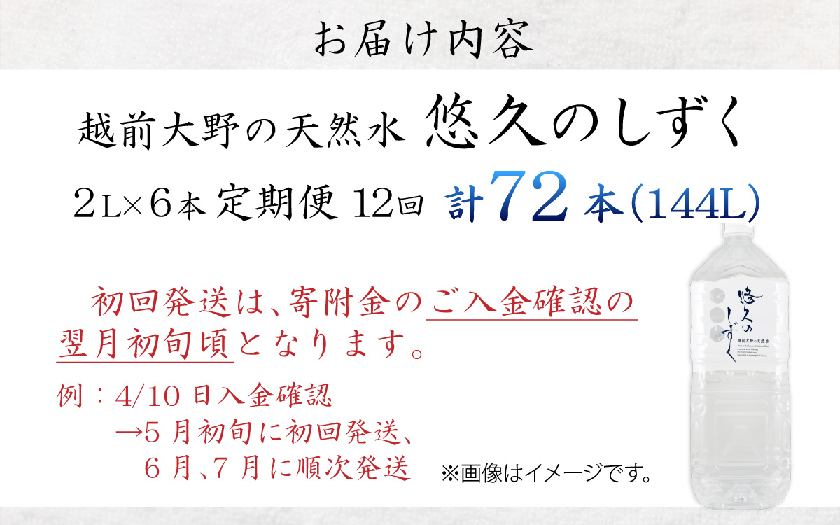 【12ヶ月連続お届け】越前大野の天然水　悠久のしずく 2L 6本 計72本[H-036001]