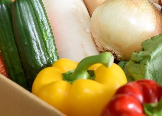 お野菜イメージ