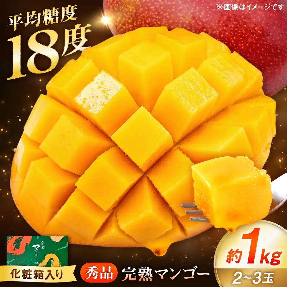 秀品 完熟マンゴー約1kg マンゴー[AYDU003]