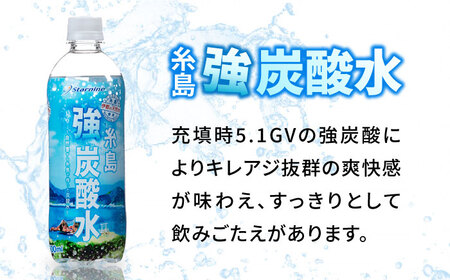 【全3回定期便】強炭酸水 プレーン 500ml × 24本  糸島市 / スターナイン 炭酸水 国産[ARM009]