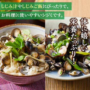 漁師直送！宍道湖産ヤマトシジミ・希少なLLサイズ・冷凍 2kg）| しじみ