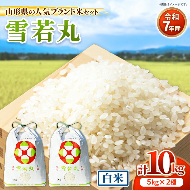 【ふるさと納税】人気のブランド米 雪若丸 白米 10kg (R7年産） - 山形県 飯豊町産 米 精米 品種 銘柄 ブランド米 ご飯 白飯 おすすめ 送料無料 田園サービスいいで【価格改定X】
