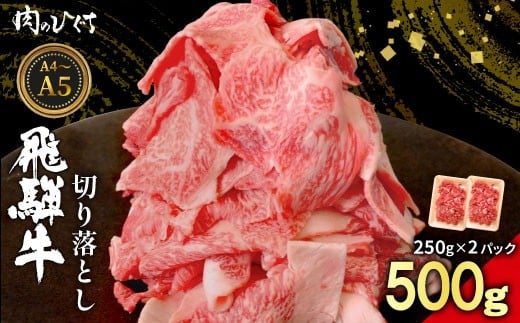 【3月発送】 飛騨牛 切り落とし 500g（250g×2P） A5 A4 国産 牛 黒毛和牛 和牛 牛肉 切落し 切り落し 薄切り 訳あり 牛丼 すき焼き しゃぶしゃぶ 炒め物 東白川村 岐阜 飛騨 贅沢 霜降り ロース バラ もも ウデ 肉のひぐち