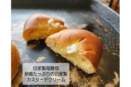 日本の味　菓子パン詰め合わせ/総菜パン 冷凍パン 食べ比べ